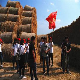 14烟筒屯镇宣传委员介绍当地芦苇资源和生产情况中国青年网通讯员郭健文提供_副本